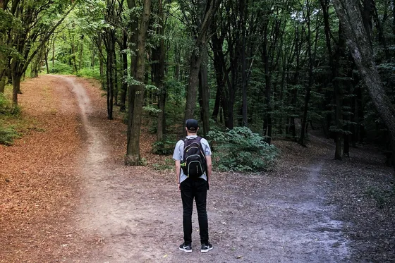 A person considers two diverging paths through a forest.