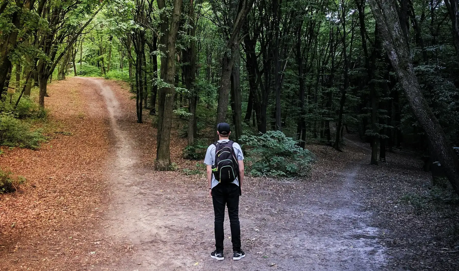 A person considers two diverging paths through a forest.